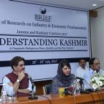 Understanding kashmir